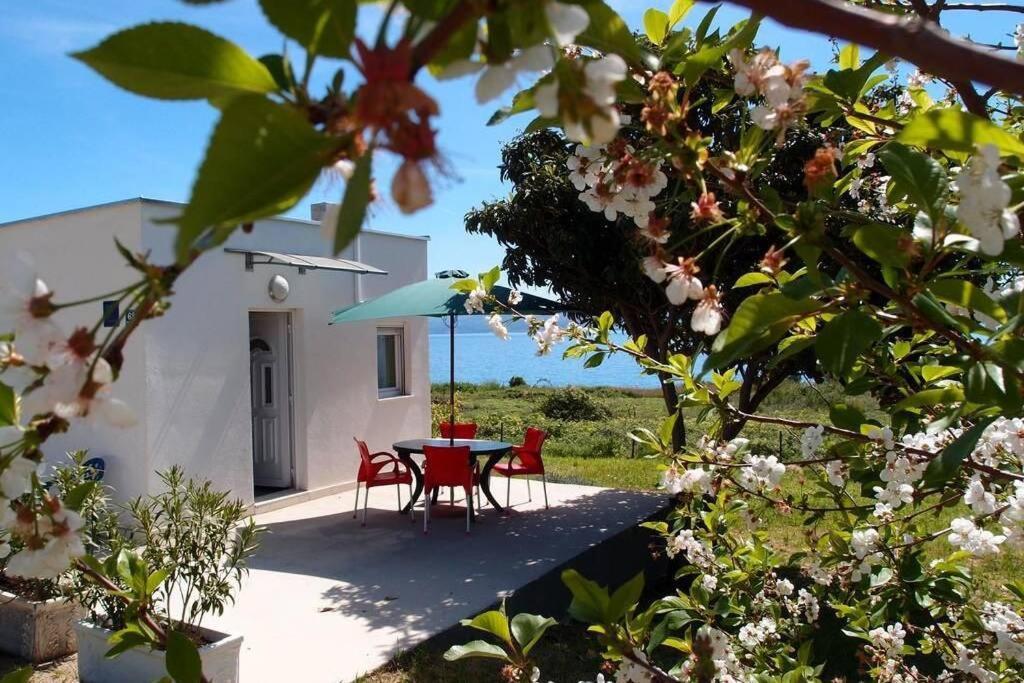 ספליט Summerhouse Calypso מראה חיצוני תמונה